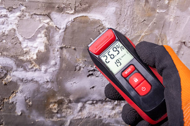 Best Health and Safety Mold Remediation in Johnsburg, IL